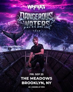 flyer for Whales