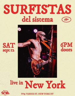 flyer for Surfistas del Sistema