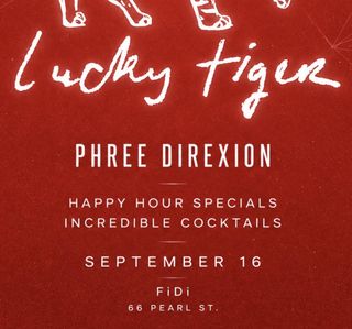 flyer for Phree Direxion