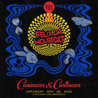flyer for Curiouser & Curiouser: Felix Da Housecat
