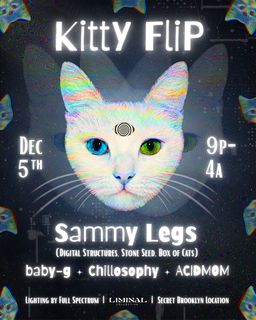 flyer for Liminal Collective: Kitty Flip w/ Sammy Legs, baby-g, Chillosophy, and ACIDMOM